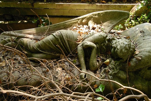 H1.jpg (113.15 KiB) Viewed 10328 times H1.jpg