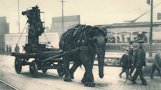 elephant-transporting-equip-wwi2.jpg