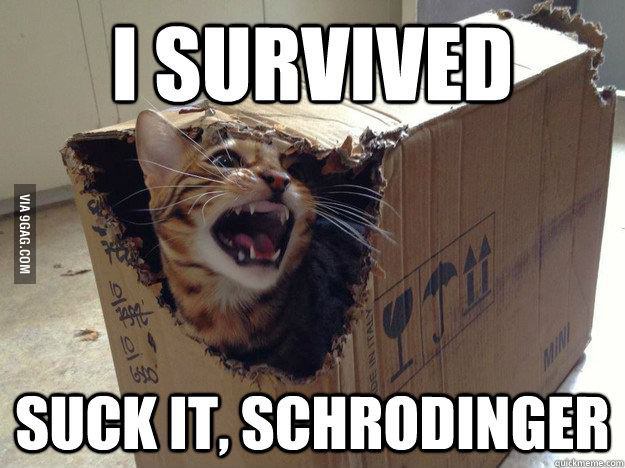 schrodingers_cat-302449.jpg